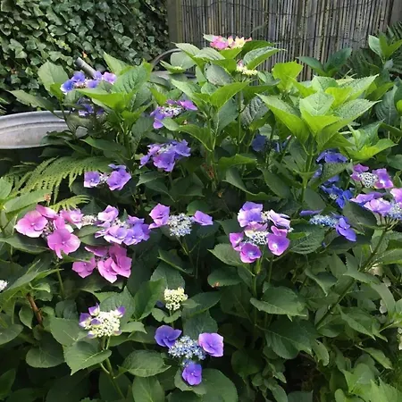 Landlust- Stadtnah - Im Ehemaligem Bauernh By Interhome * Rammenau