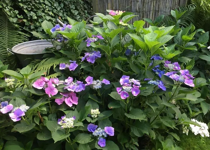 Landlust- Stadtnah - Im Ehemaligem Bauernh By Interhome * Rammenau